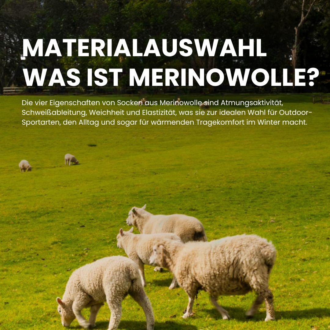 Merino Pro Socke Geruch & Schweiß Control