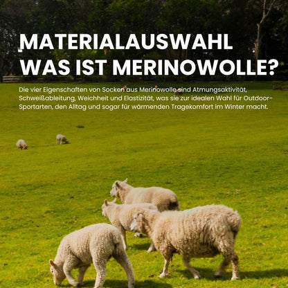 Merino Pro Socke Geruch & Schweiß Control